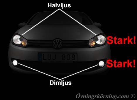 Halvljus och dimljus
