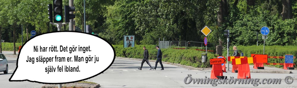 Ansvarstagande