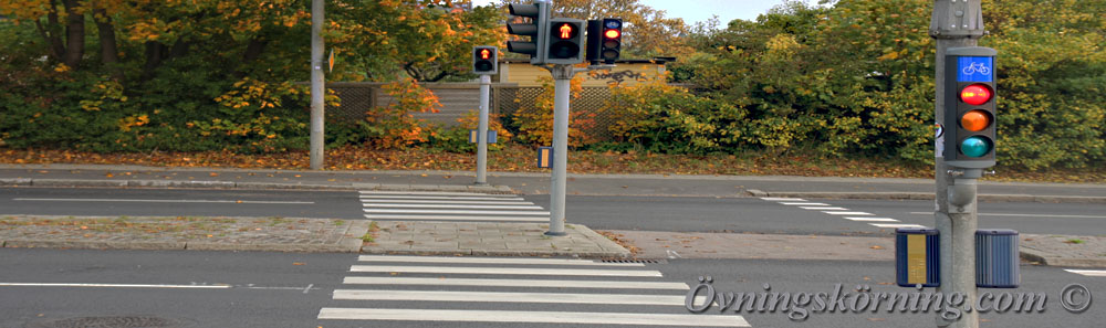 Bevakat övergångsställe