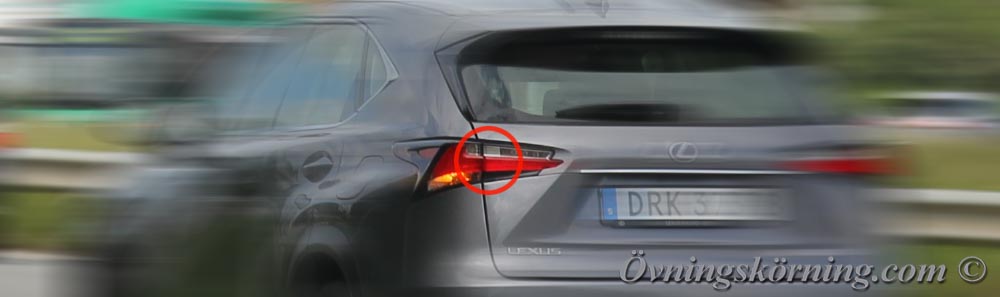 Synen. Synfältet