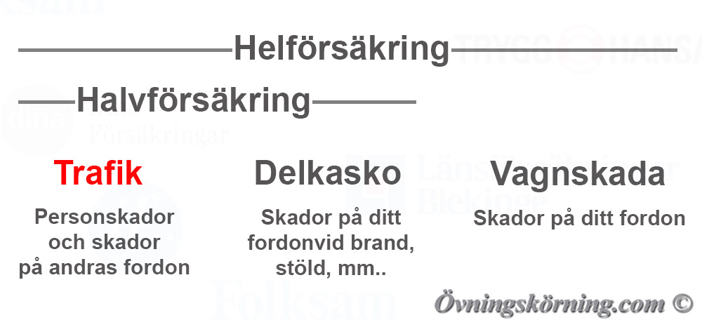 Försäkring. Bil