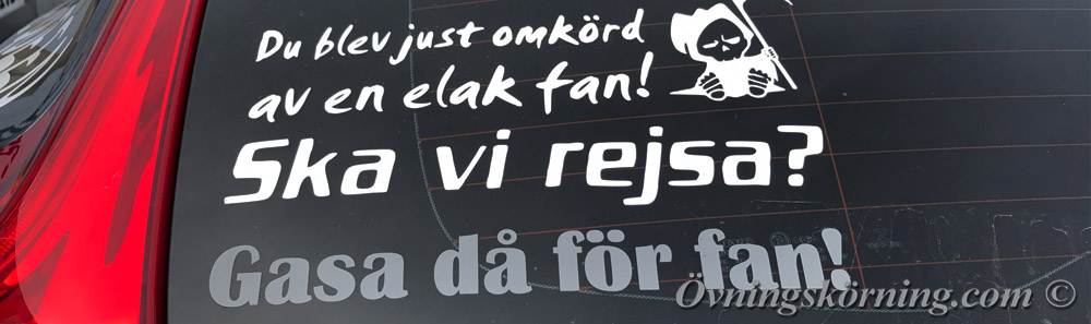 Självhävdelse