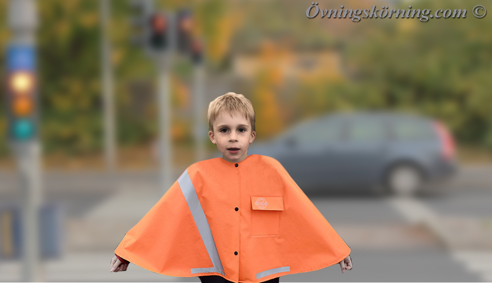 Skolpatrull