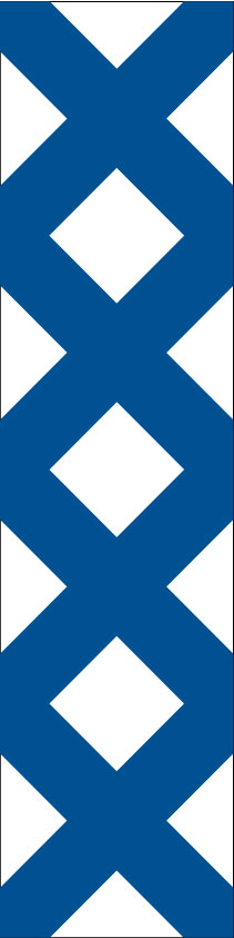Y4 Plankorsningsskärm